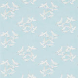 Seagulls - 214585