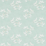 Seagulls - 214586