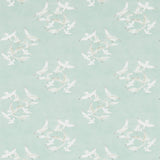 Seagulls - 214586