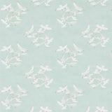 Seagulls - 214586
