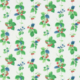 Summer Strawberries - 214592