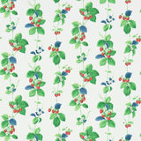 Summer Strawberries - 214592