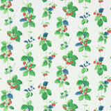 Summer Strawberries - 214592