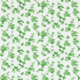 Hedera - 214593