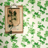 Hedera - 214593