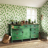 Hedera - 214593