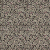 Bramble - 214699
