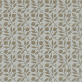 Rosehip - 214709