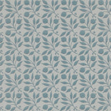 Rosehip - 214710