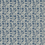 Rosehip - 214711