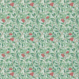 Arbutus - 214719