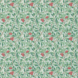 Arbutus - 214719