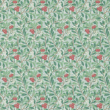 Arbutus - 214719