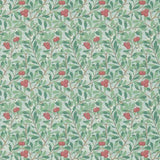 Arbutus - 214719