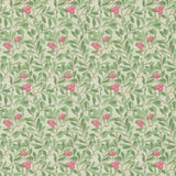 Arbutus - 214720