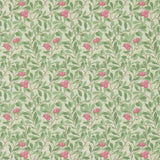 Arbutus - 214720
