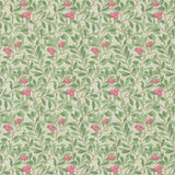 Arbutus - 214720