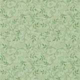 Jasmine - 214722