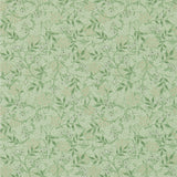 Jasmine - 214722