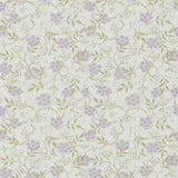 Jasmine - 214723