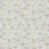 Jasmine - 214723