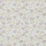 Jasmine - 214723