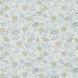 Jasmine - 214724