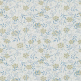 Jasmine - 214724