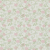 Jasmine - 214725