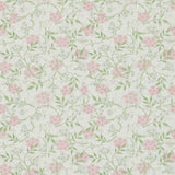 Jasmine - 214725