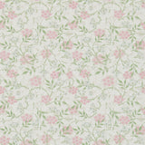 Jasmine - 214725