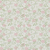 Jasmine - 214725