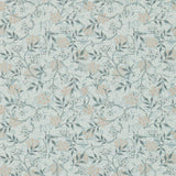 Jasmine - 214726