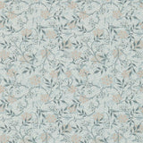 Jasmine - 214726