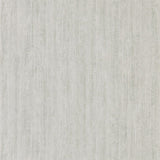 Wildwood - 215689