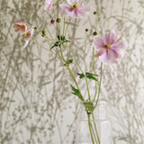 Meadow Canvas - 215697