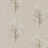 Oak Filigree - 215698