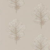Oak Filigree - 215698
