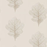 Oak Filigree - 215699