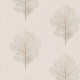 Oak Filigree - 215699