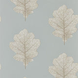 Oak Filigree - 215702
