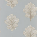 Oak Filigree - 215702