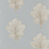 Oak Filigree - 215702