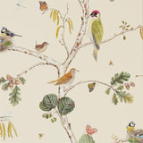Woodland Chorus - 215703