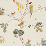 Woodland Chorus - 215703