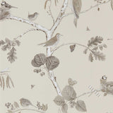 Woodland Chorus - 215704