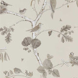 Woodland Chorus - 215704