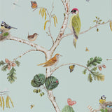 Woodland Chorus - 215706