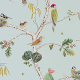 Woodland Chorus - 215706