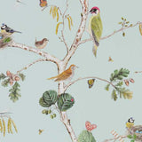 Woodland Chorus - 215706